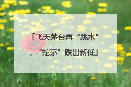 飞天茅台再“跳水”，“蛇茅”跌出新低