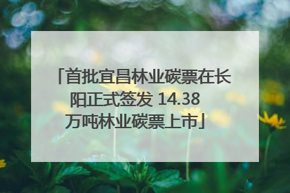 首批宜昌林业碳票在长阳正式签发 14.38万吨林业碳票上市