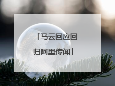 马云回应回归阿里传闻
