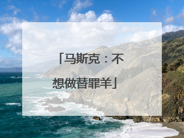 马斯克：不想做替罪羊