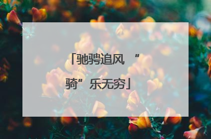 驰骋追风 “骑”乐无穷