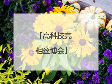 高科技亮相丝博会