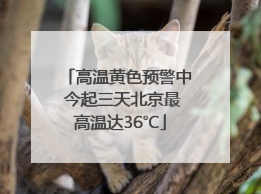 高温黄色预警中 今起三天北京最高温达36℃
