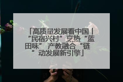 高质量发展看中国丨“民宿兴村”烹热“蓝田味” 产教融合“链”动发展新引擎