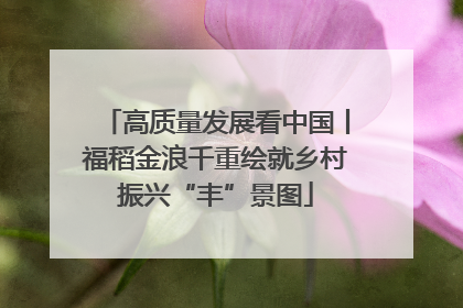 高质量发展看中国丨福稻金浪千重绘就乡村振兴“丰”景图