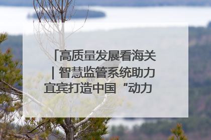 高质量发展看海关｜智慧监管系统助力宜宾打造中国“动力电池之都”