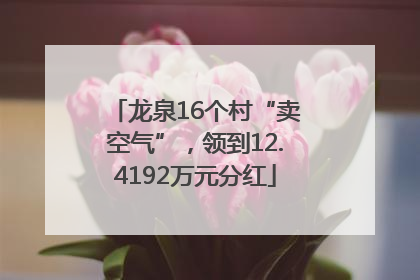 龙泉16个村“卖空气”，领到12.4192万元分红