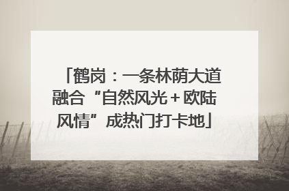 鹤岗：一条林荫大道融合“自然风光＋欧陆风情”成热门打卡地
