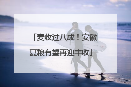 麦收过八成！安徽夏粮有望再迎丰收