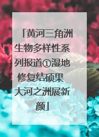 黄河三角洲生物多样性系列报道①湿地修复结硕果 大河之洲展新颜