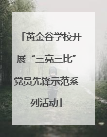 黄金谷学校开展“三亮三比”党员先锋示范系列活动