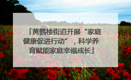 黄鹤楼街道开展“家庭健康促进行动”，科学养育赋能家庭幸福成长