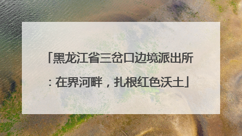 黑龙江省三岔口边境派出所：在界河畔，扎根红色沃土
