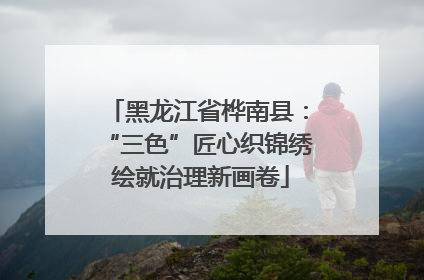 黑龙江省桦南县：“三色”匠心织锦绣 绘就治理新画卷