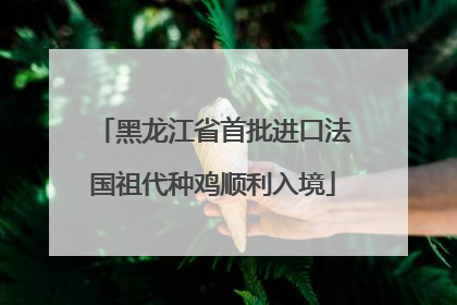 黑龙江省首批进口法国祖代种鸡顺利入境