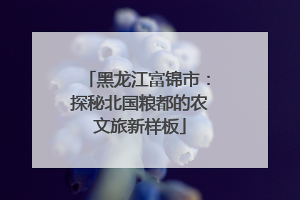 黑龙江富锦市：探秘北国粮都的农文旅新样板
