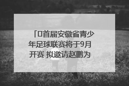 ﻿首届安徽省青少年足球联赛将于9月开赛 拟邀请赵鹏为先导赛开球