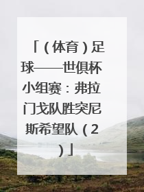 （体育）足球——世俱杯小组赛：弗拉门戈队胜突尼斯希望队（2）