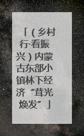 （乡村行·看振兴）内蒙古东部小镇林下经济“茸光焕发”