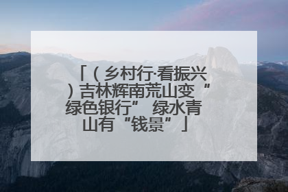 （乡村行·看振兴）吉林辉南荒山变“绿色银行” 绿水青山有“钱景”