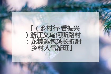 （乡村行·看振兴）浙江义乌何斯路村：龙粽越包越长折射乡村人气渐旺