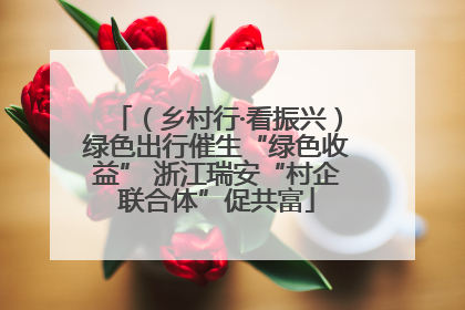 （乡村行·看振兴）绿色出行催生“绿色收益” 浙江瑞安“村企联合体”促共富