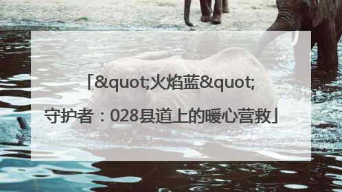 "火焰蓝"守护者：028县道上的暖心营救