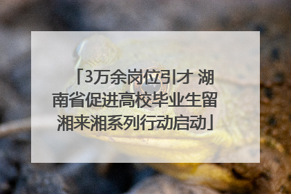 3万余岗位引才 湖南省促进高校毕业生留湘来湘系列行动启动
