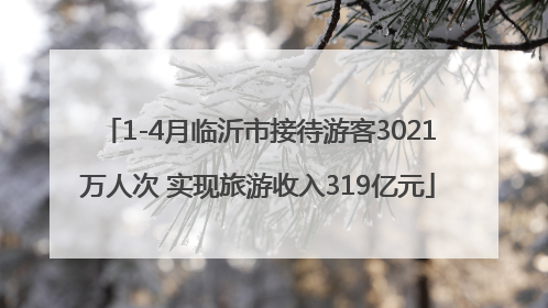 1-4月临沂市接待游客3021万人次 实现旅游收入319亿元