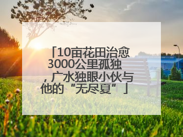 10亩花田治愈3000公里孤独，广水独眼小伙与他的“无尽夏”