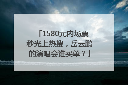 1580元内场票秒光上热搜，岳云鹏的演唱会谁买单？
