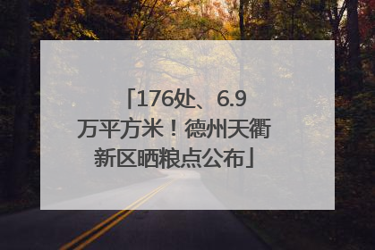 176处、6.9万平方米！德州天衢新区晒粮点公布