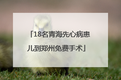 18名青海先心病患儿到郑州免费手术