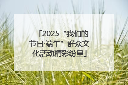 2025“我们的节日·端午”群众文化活动精彩纷呈