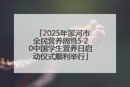 2025年漯河市全民营养周暨5·20中国学生营养日启动仪式顺利举行
