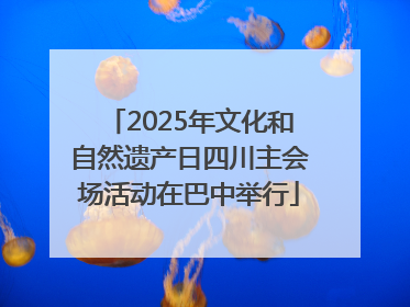 2025年文化和自然遗产日四川主会场活动在巴中举行