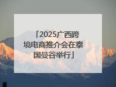2025广西跨境电商推介会在泰国曼谷举行