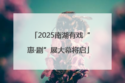 2025南湖有戏“惠·剧”展大幕将启