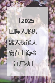 2025国际人形机器人技能大赛在上海张江启动