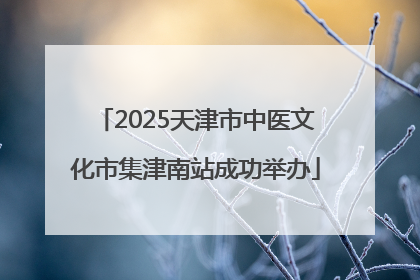 2025天津市中医文化市集津南站成功举办