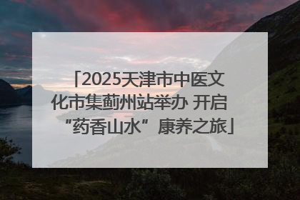 2025天津市中医文化市集蓟州站举办 开启“药香山水”康养之旅