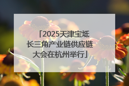 2025天津宝坻长三角产业链供应链大会在杭州举行