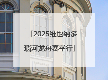 2025维也纳多瑙河龙舟赛举行