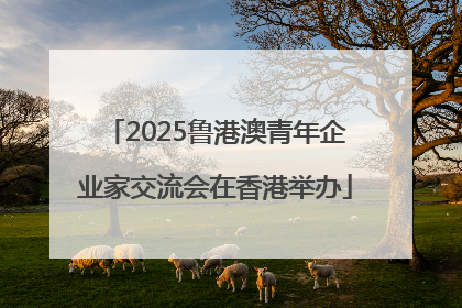 2025鲁港澳青年企业家交流会在香港举办