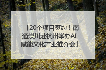 20个项目签约！南通崇川赴杭州举办AI赋能文化产业推介会