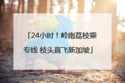 24小时！岭南荔枝乘专线 枝头直飞新加坡