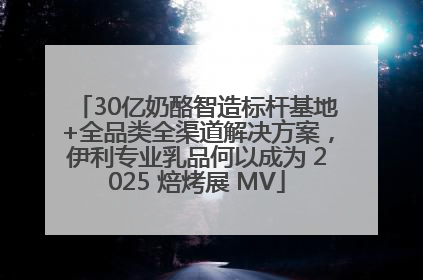 30亿奶酪智造标杆基地+全品类全渠道解决方案，伊利专业乳品何以成为 2025 焙烤展 MV