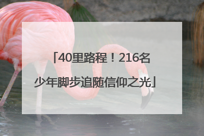 40里路程！216名少年脚步追随信仰之光