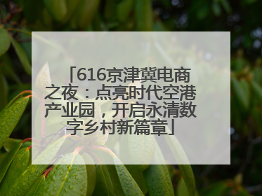 616京津冀电商之夜：点亮时代空港产业园，开启永清数字乡村新篇章