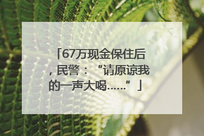 67万现金保住后，民警：“请原谅我的一声大喝……”
